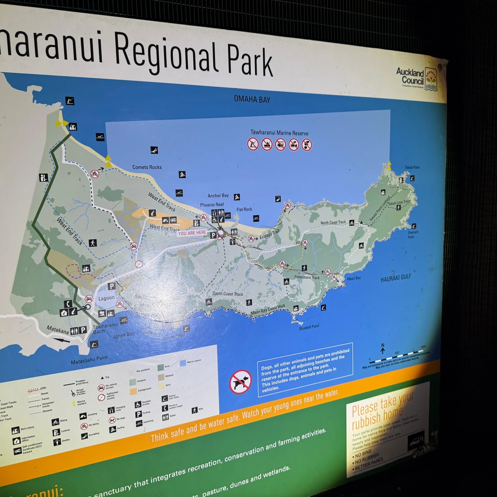 Wild Kiwi Spotting Auckland: Tāwharanui Night Tour and Stargazing
