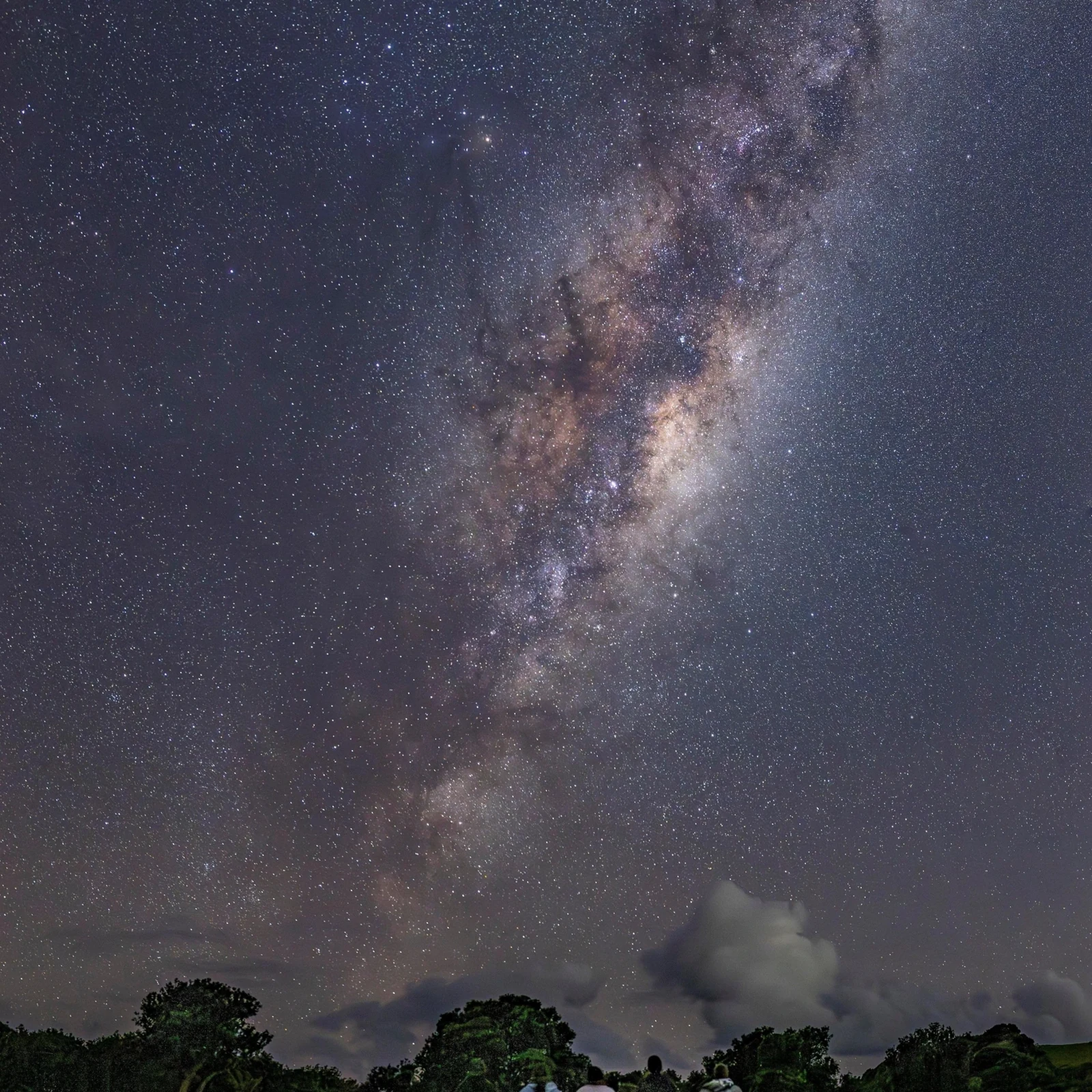 Wilde Kiwis in Auckland beobachten unter Tāwharanuīs Nachthimmel