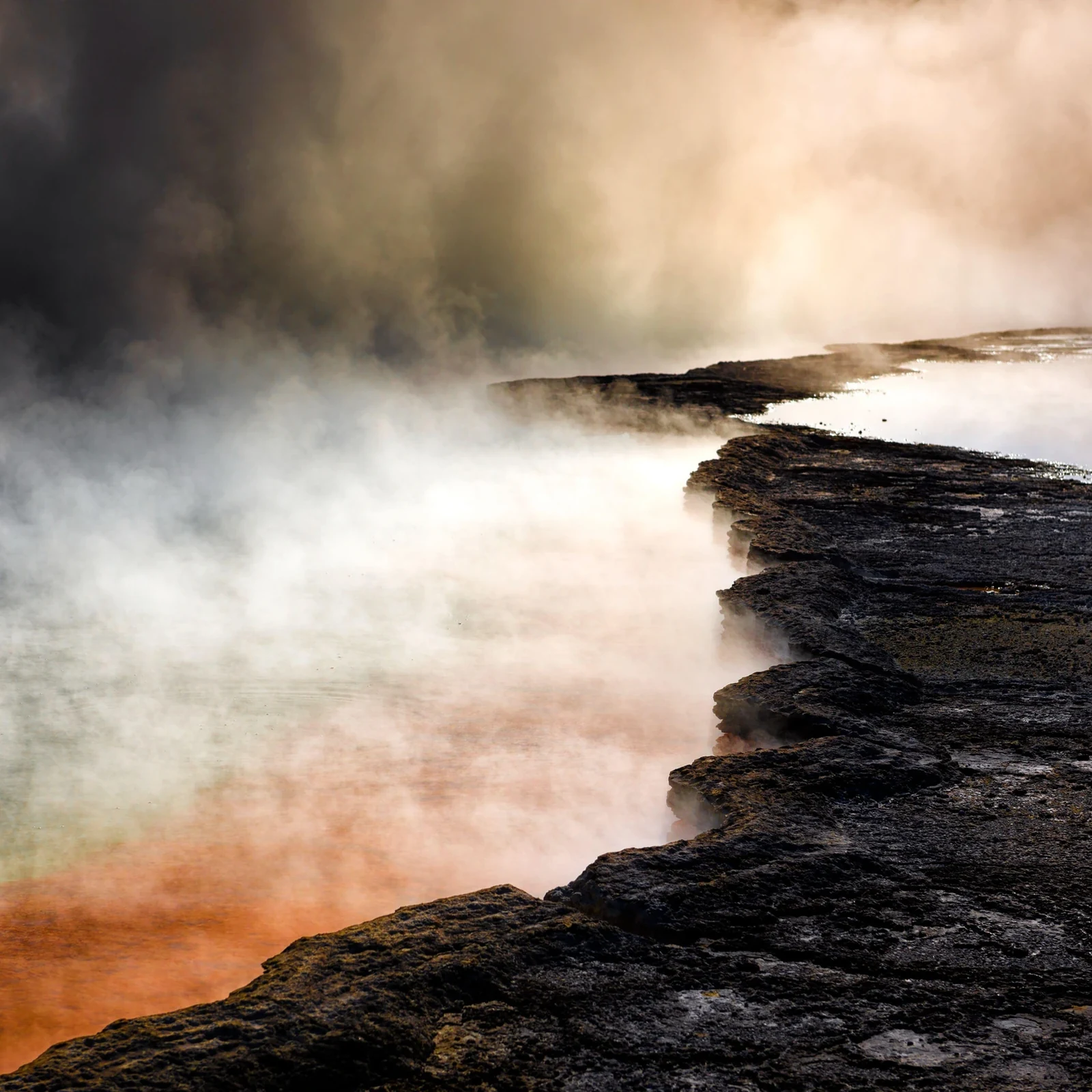 Rotorua depuis Auckland : culture maorie, géothermie et activité au choix