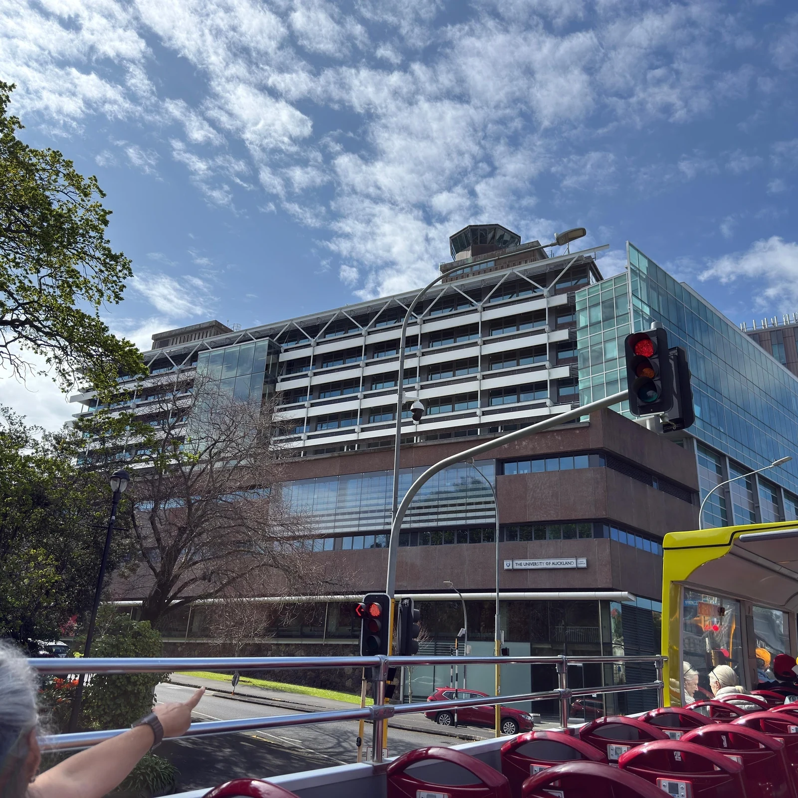 Auckland hop on hop off bus: explore at your own pace