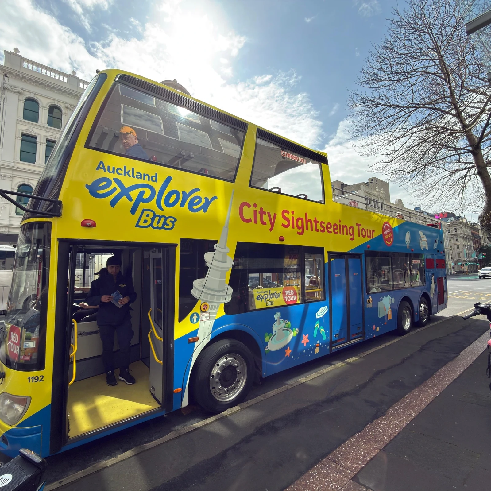 Auckland hop on hop off bus: explore at your own pace