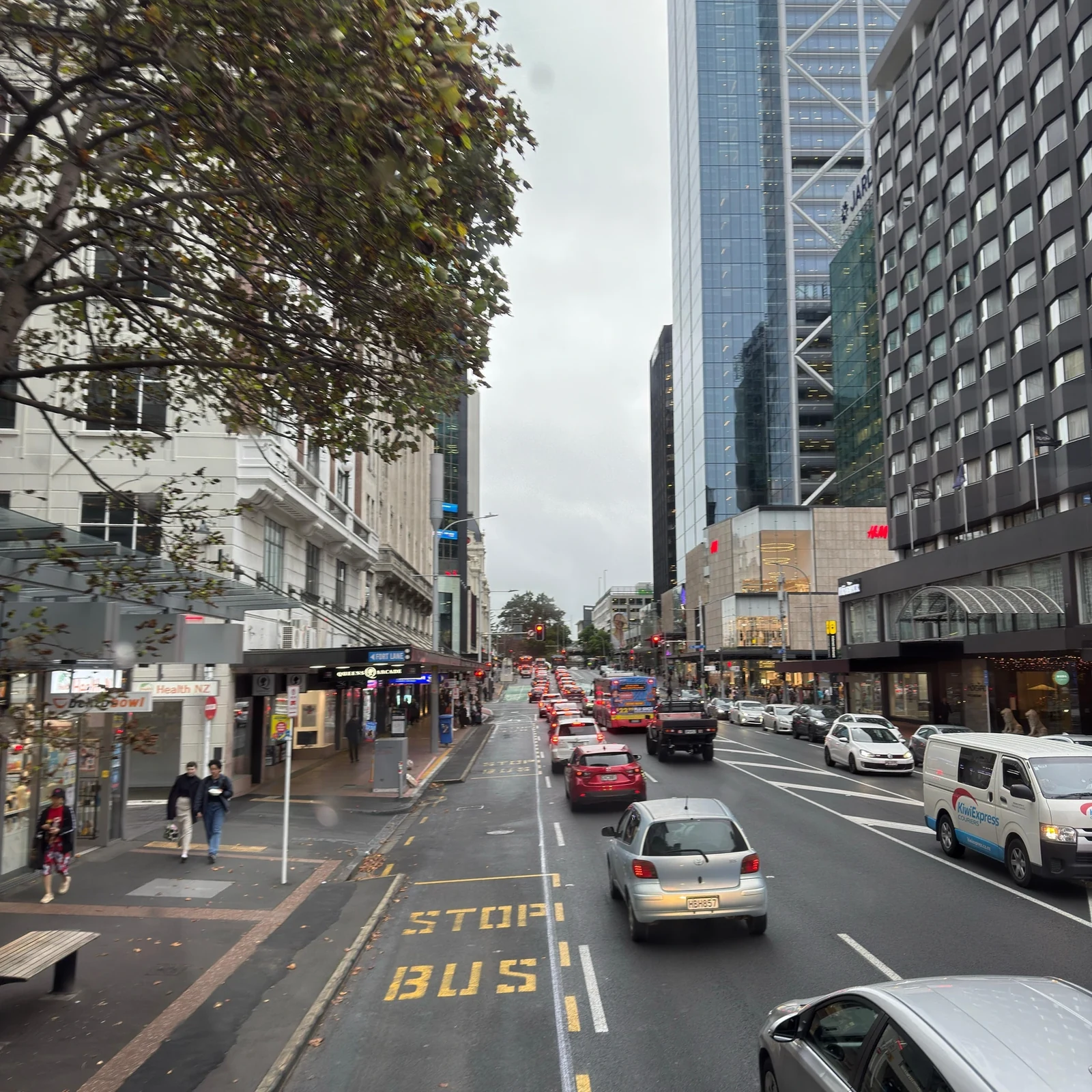 Auckland hop on hop off bus: explore at your own pace