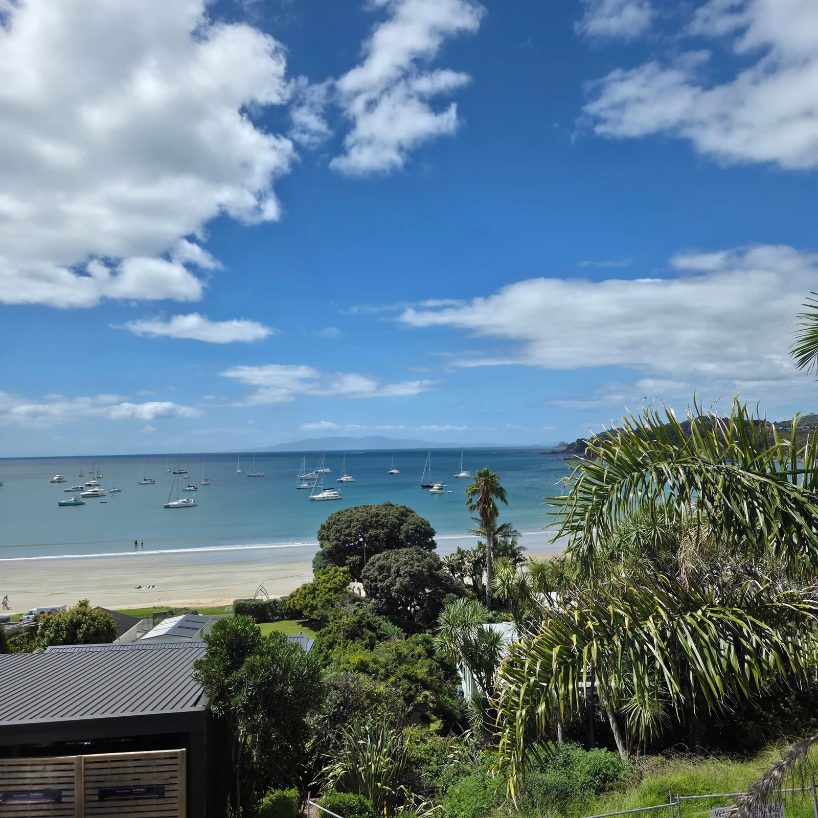 Auckland hop on hop off bus: explore at your own pace