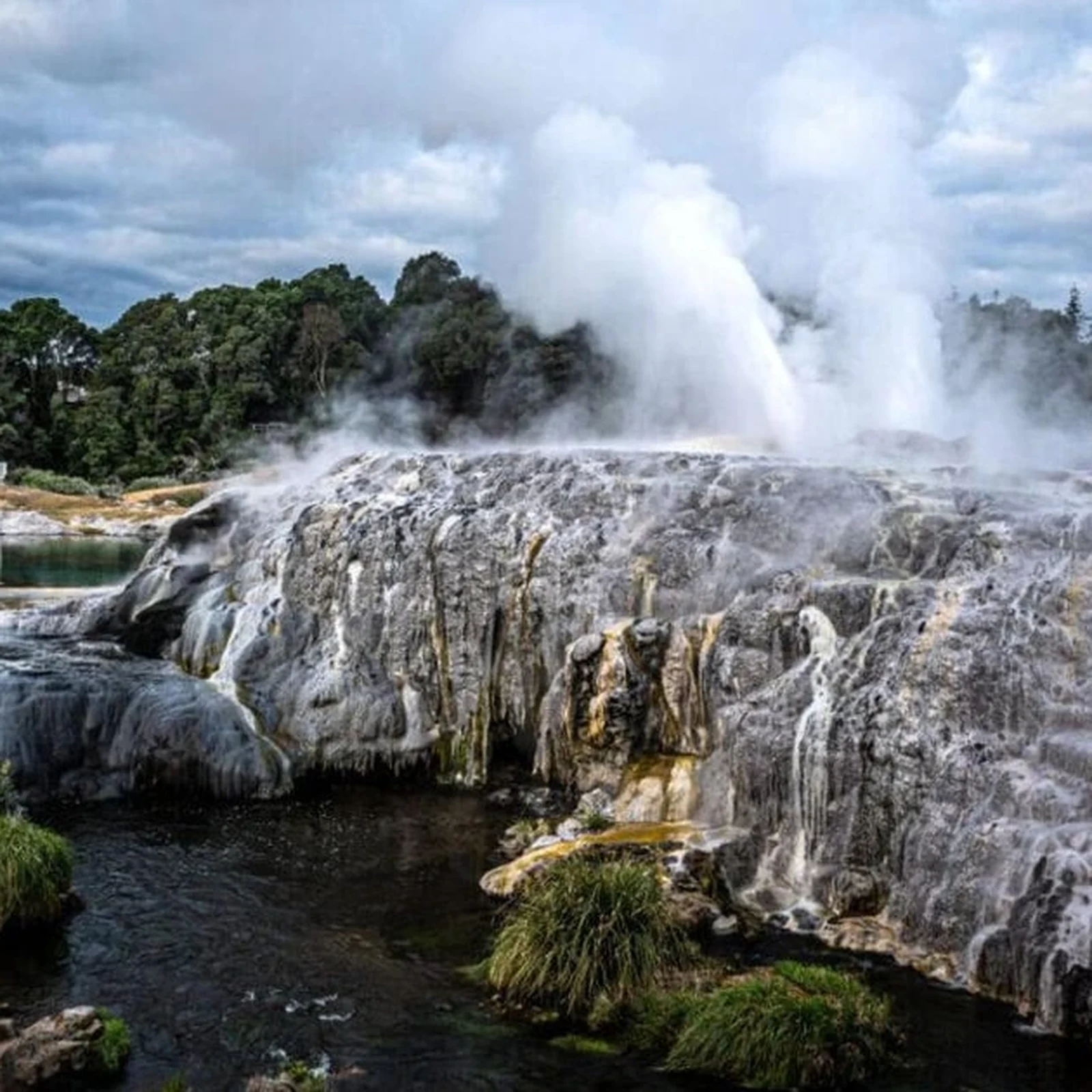 Tour a Rotorua desde Auckland con Te Puia y haka en un día
