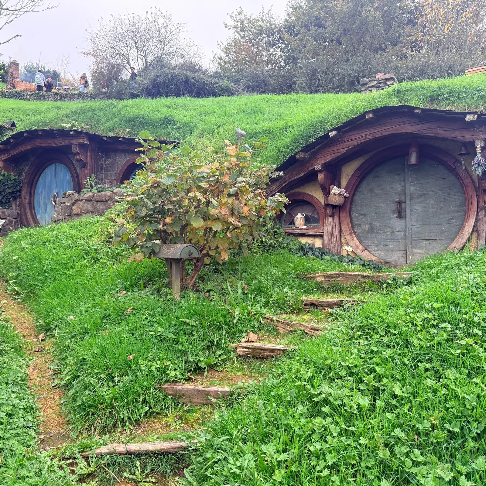 Hobbiton, Rotorua y Wai-O-Tapu en un solo día desde Auckland