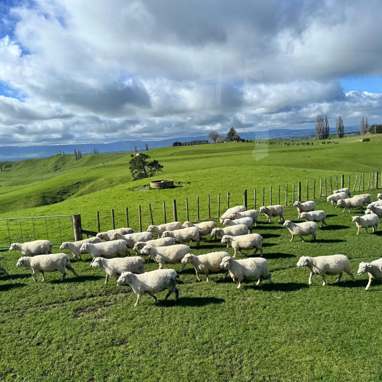 Hobbiton, Rotorua y Wai-O-Tapu en un solo día desde Auckland