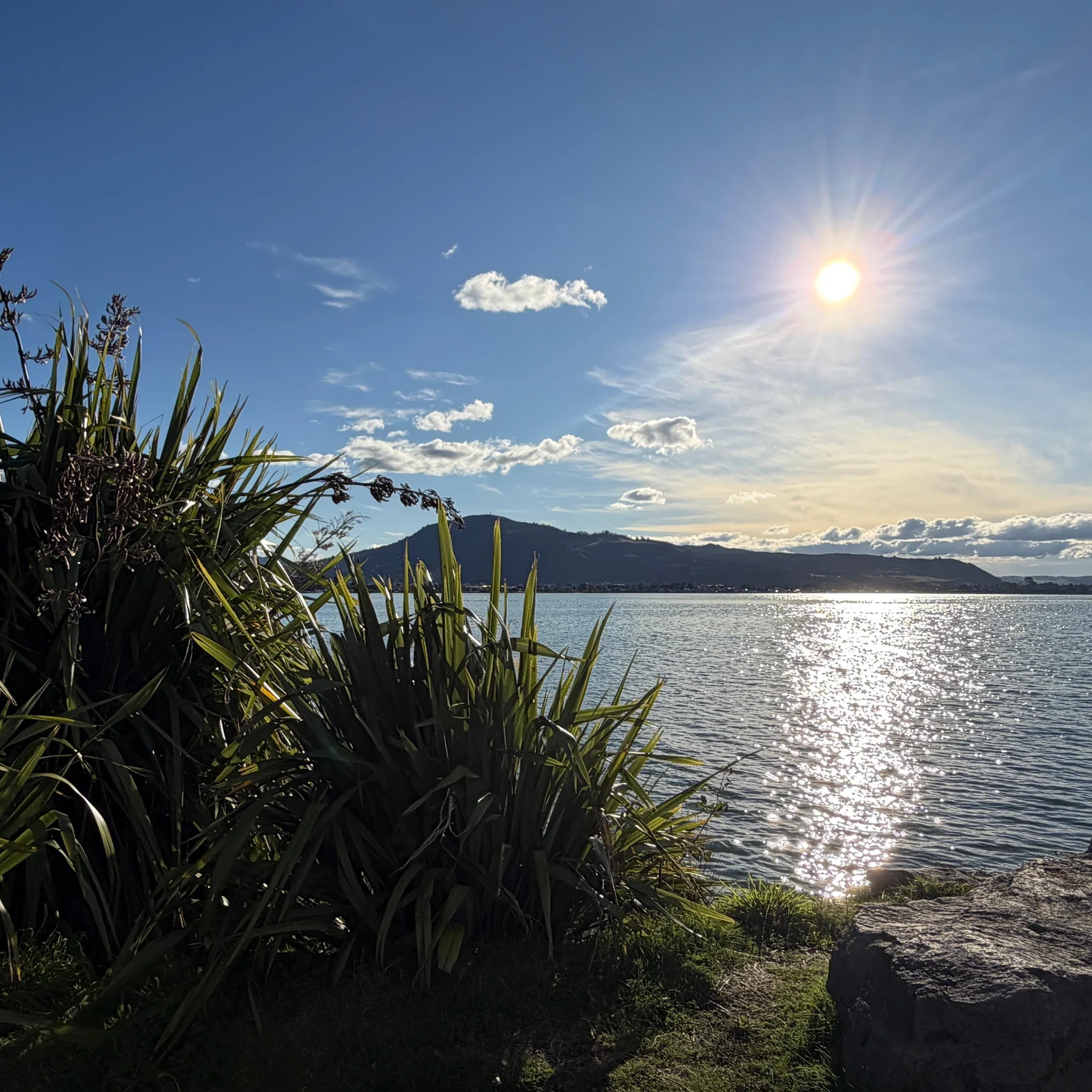 Hobbiton, Rotorua y Wai-O-Tapu en un solo día desde Auckland