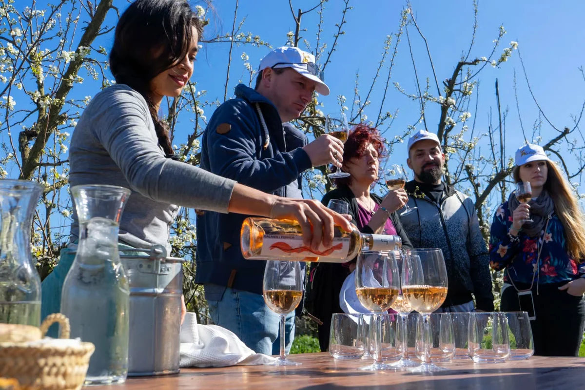 Tour de bodegas en Mallorca con cata de vinos