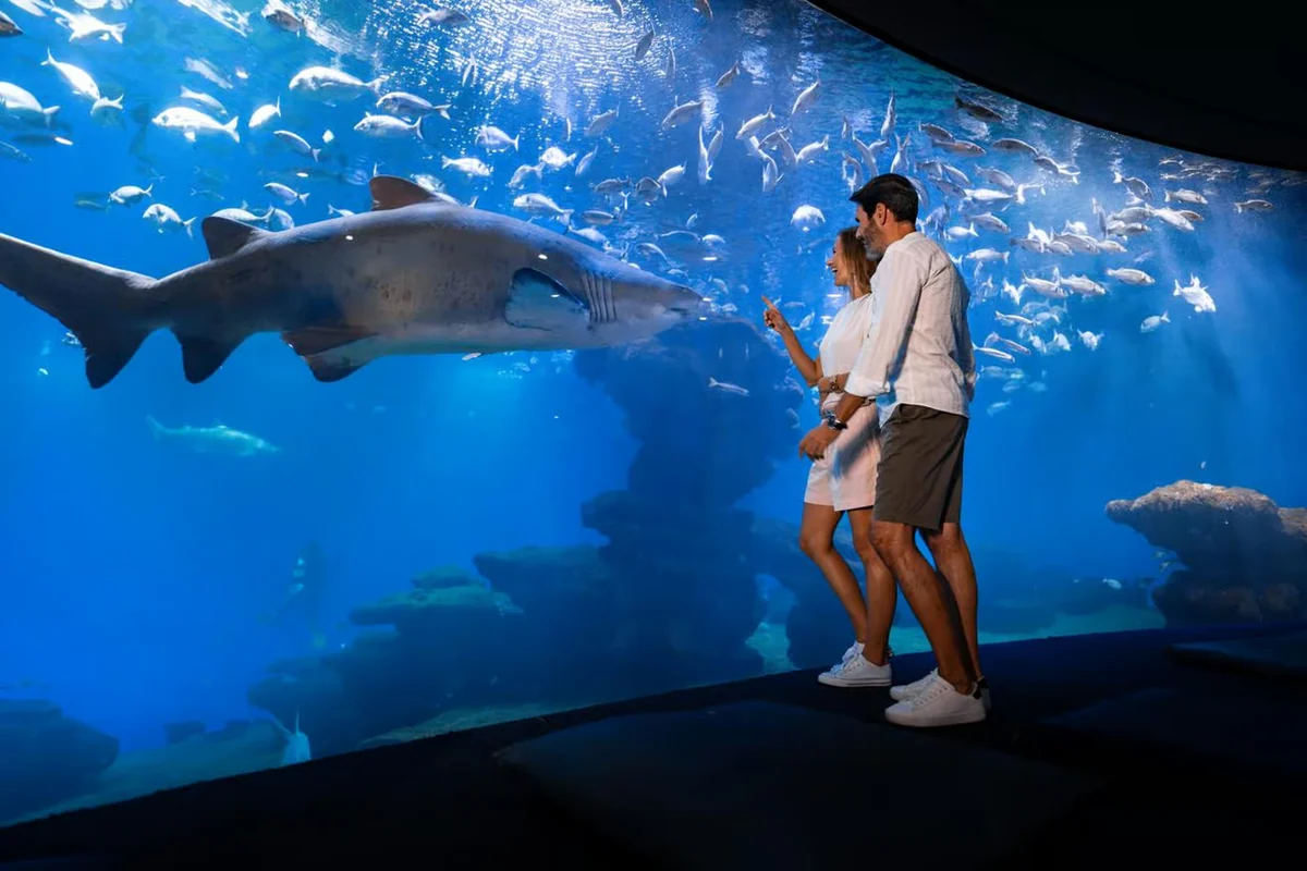 马略卡岛帕尔马水族馆门票