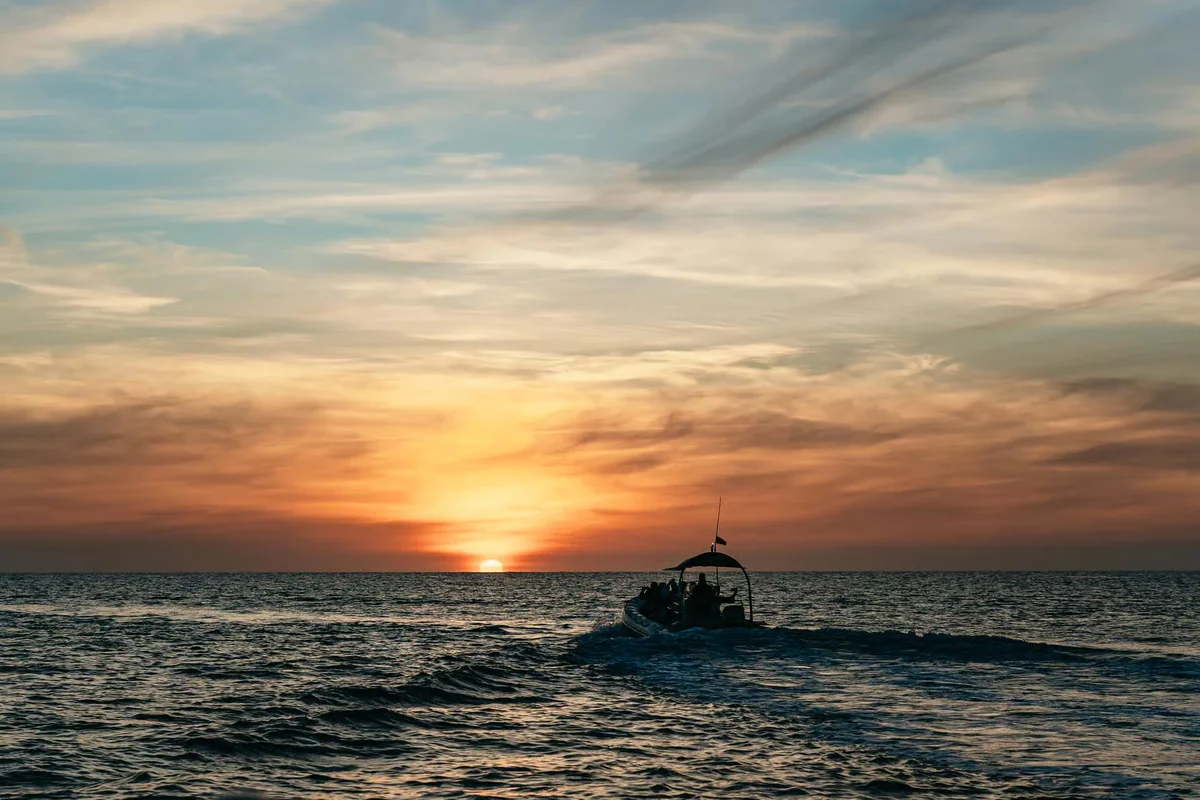 阿尔库迪亚观海豚巡航 | 马略卡